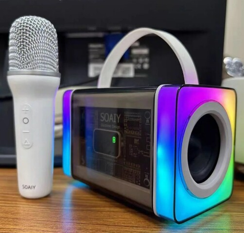 Mini Karaoke Speaker with Mic Shocking Volume RGB Light Computer Desktop Game Audio TF Card U Disk Bluetooth Subwoofer