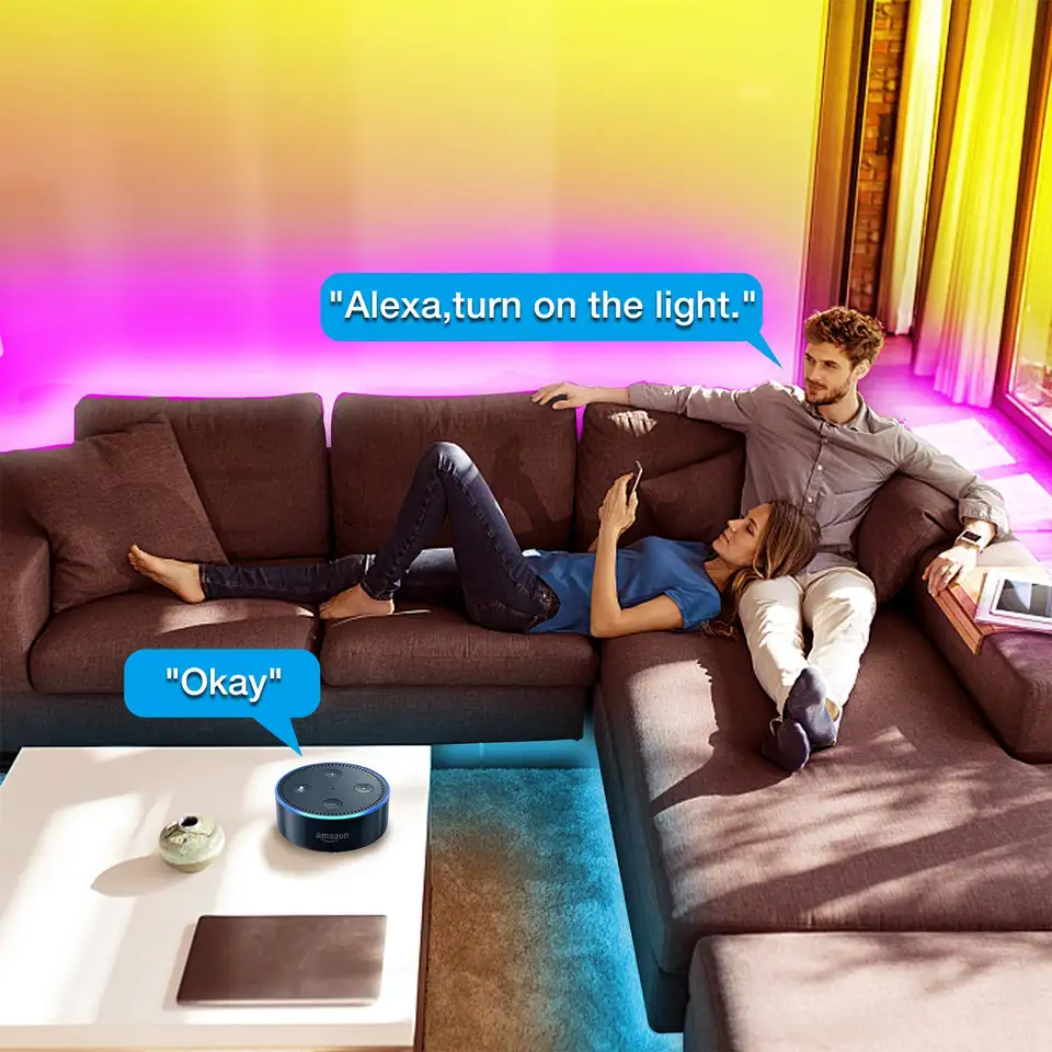Alexa Google Sound Activated 100ft 30M 5050 12V RGB Gaming Room Decoration Wifi Tuya Smart LED Strip Light