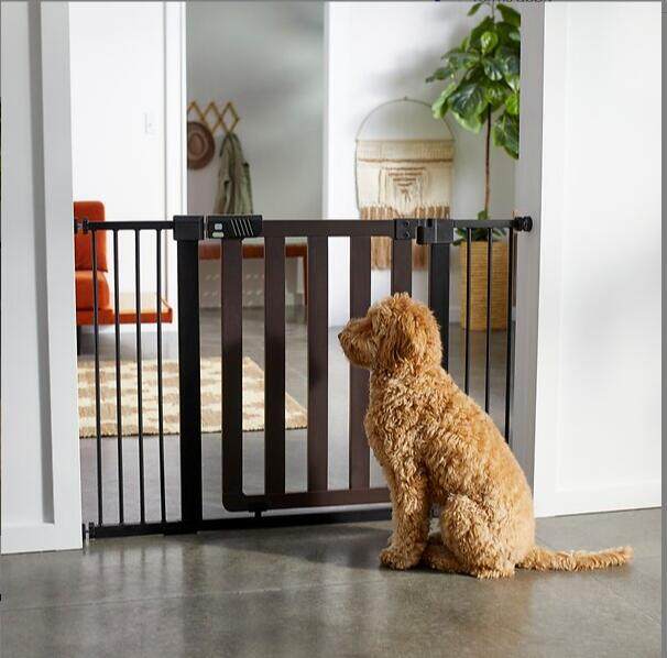 Auto dog clearance gate